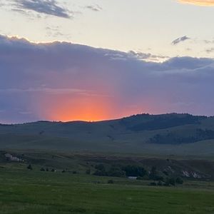 Meet your Posher, Dori